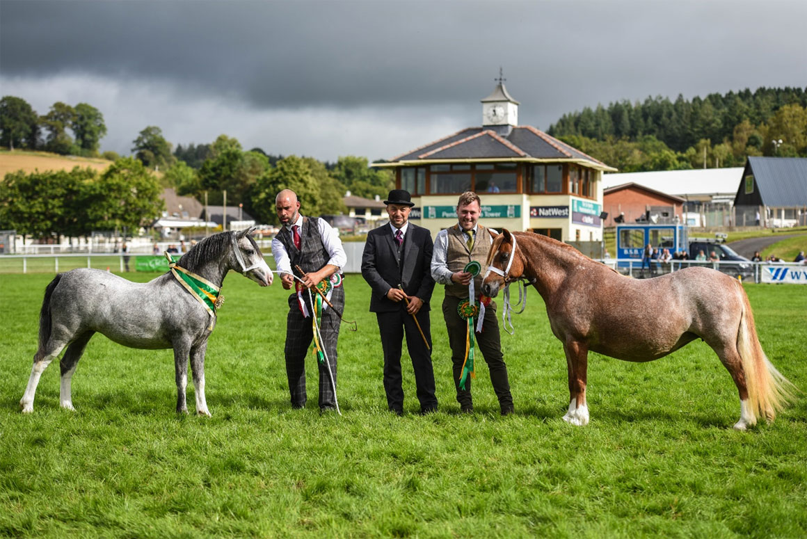 Join us at the 2023 RWAS Smallholding and Countryside Festival