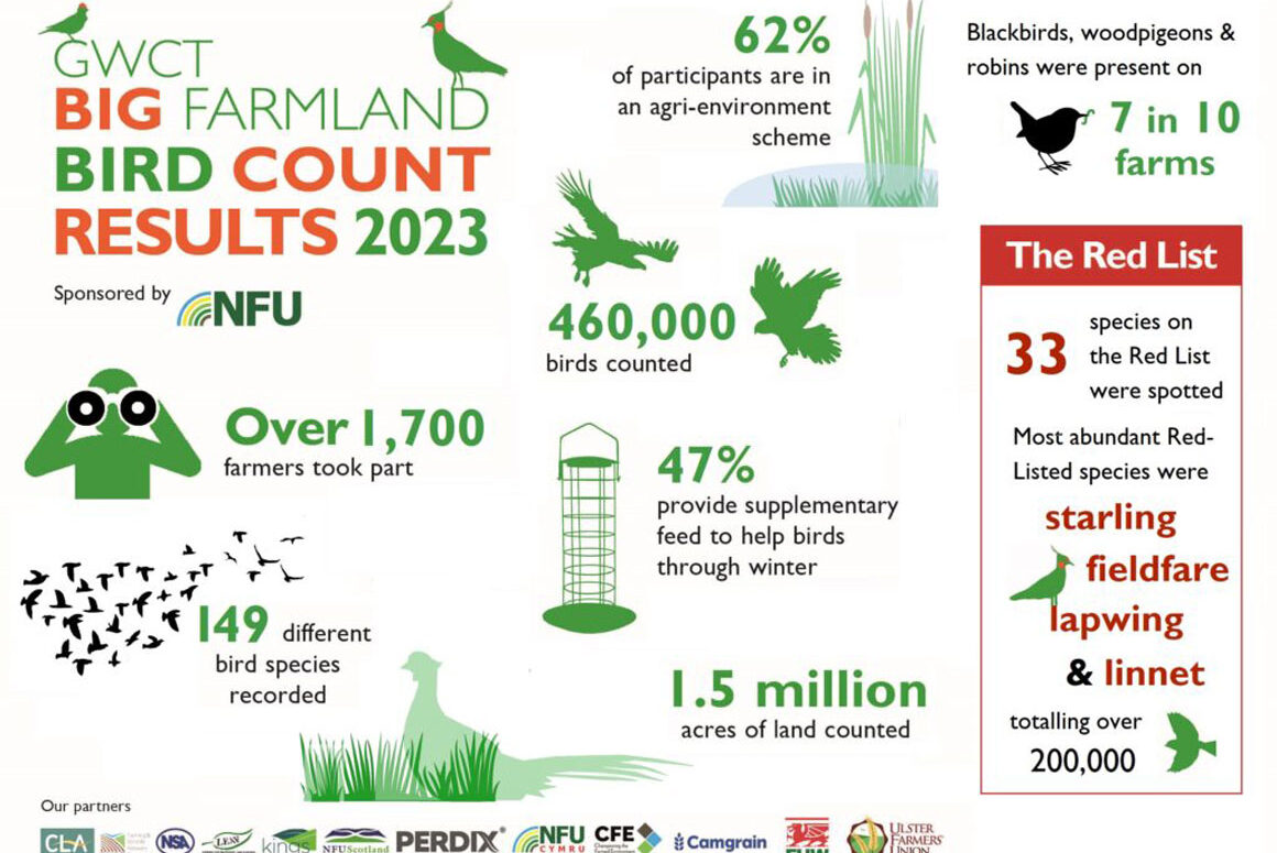 Big Farmland Bird Count Results 2023