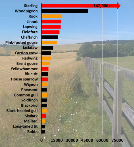 Big Farmland Bird Count (BFBC) Results 2023 Big Farmland Bird Count (BFBC) Results 2023