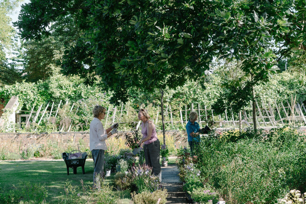 NGS Announces Over £260,000 in Funding for Community Garden Projects