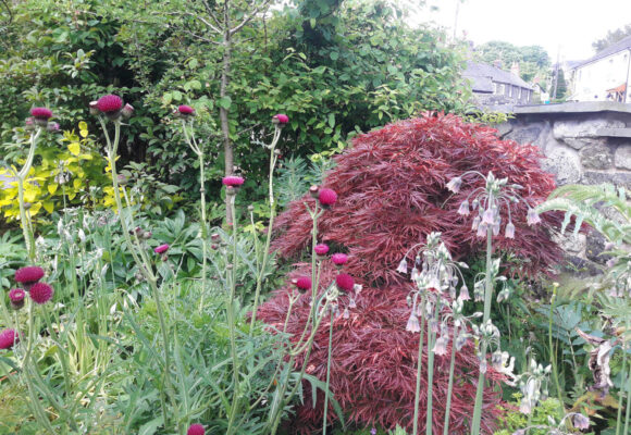 Llanrhaeadr ym Mochnant Llanrhaeadr ym Mochnant