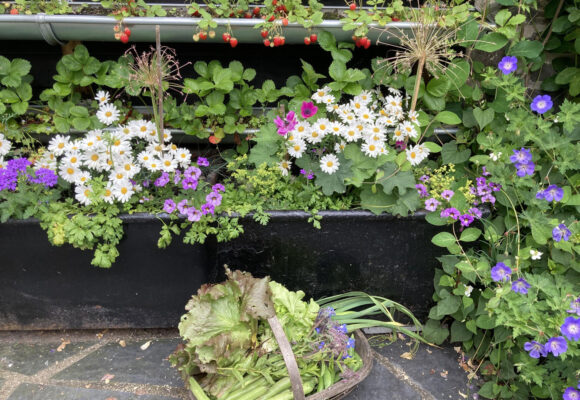 Llanrhaeadr ym Mochnant Llanrhaeadr ym Mochnant