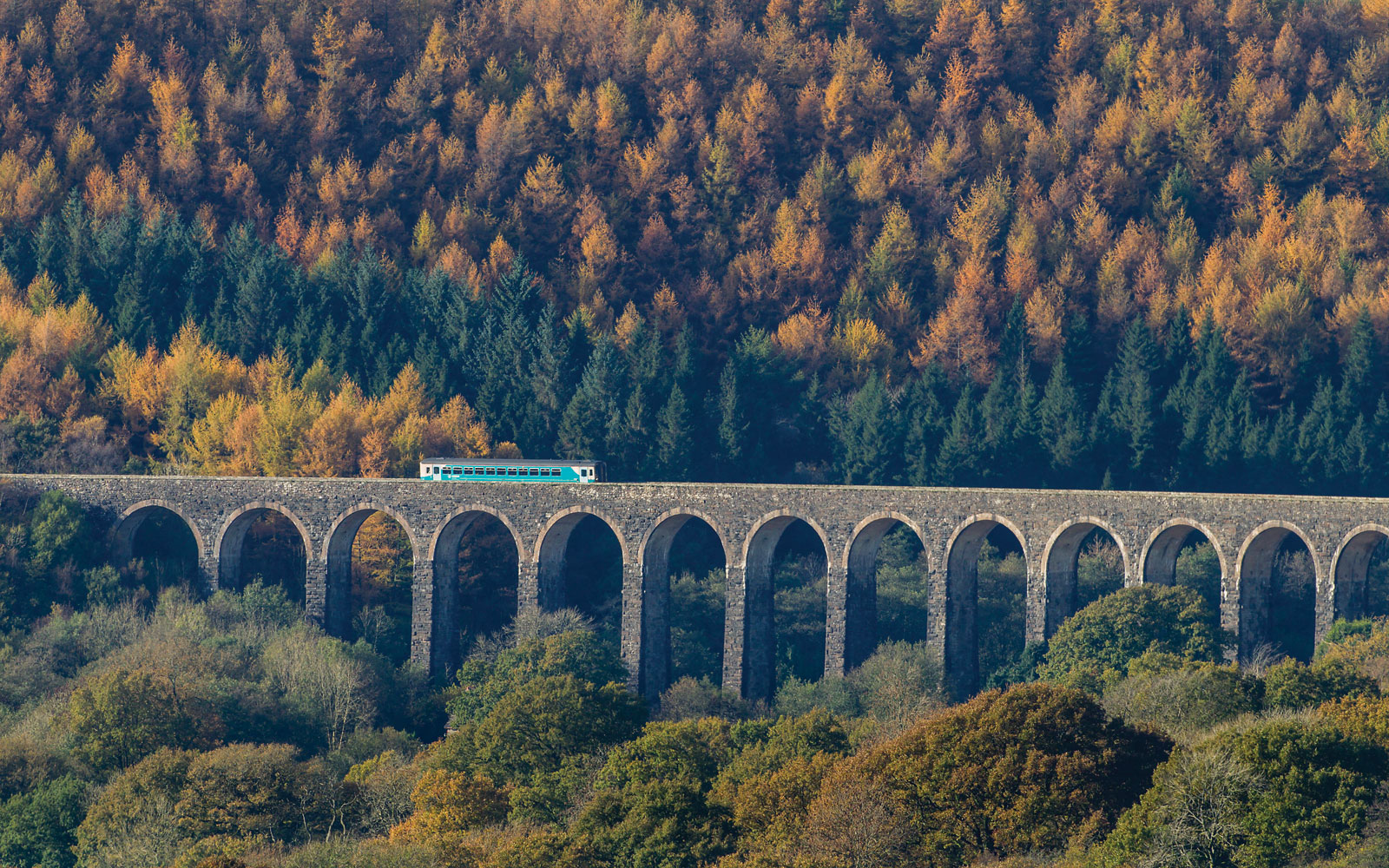Nigel McCall - Cynghordy Viaduct