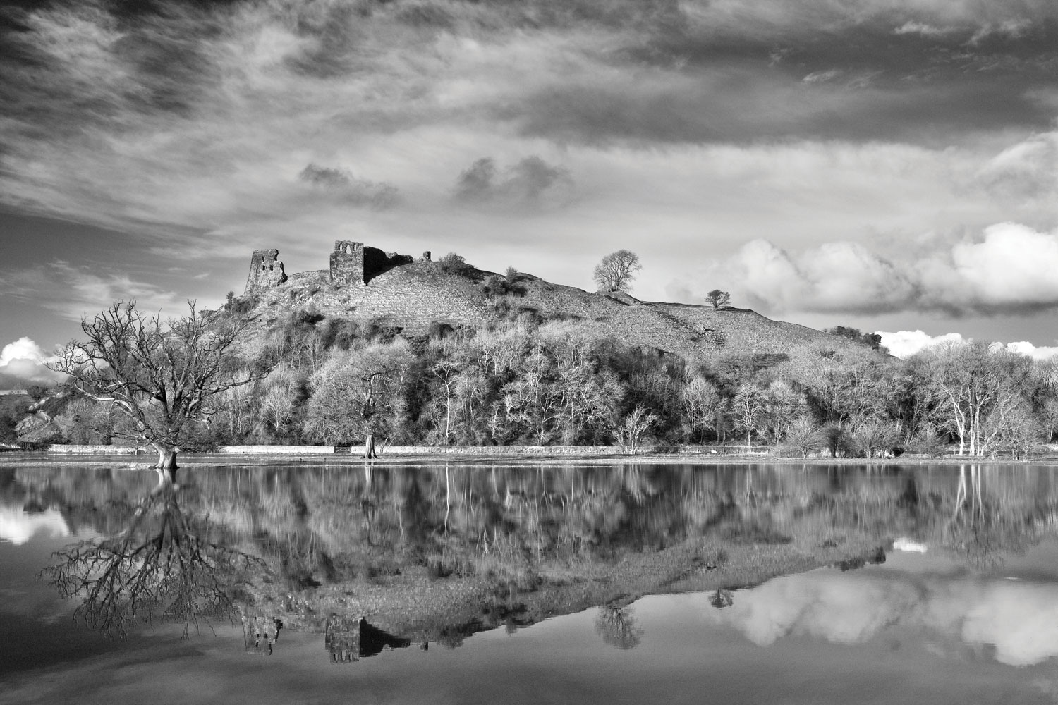 Nigel McCall - Dryslwyn Castle