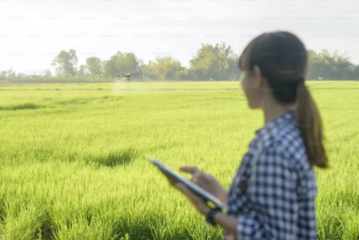 How an MBA Can Help in the Farming Business