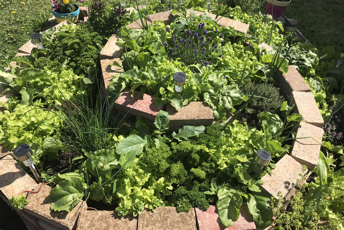 Pakistan Association Liverpool Wellbeing Garden