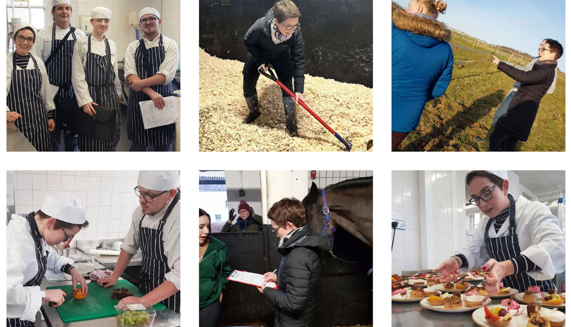 Lecturer reverses roles with students in ‘Teach the Teacher’ programme