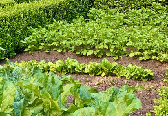 Wenallt Isaf Wenallt Isaf