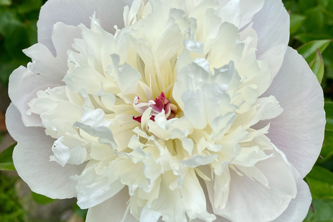 Wenallt Isaf Wenallt Isaf