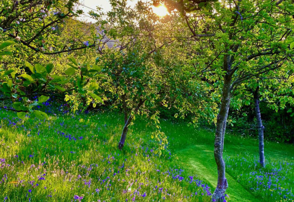 Wenallt Isaf Wenallt Isaf