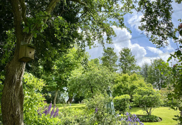 Wenallt Isaf Wenallt Isaf