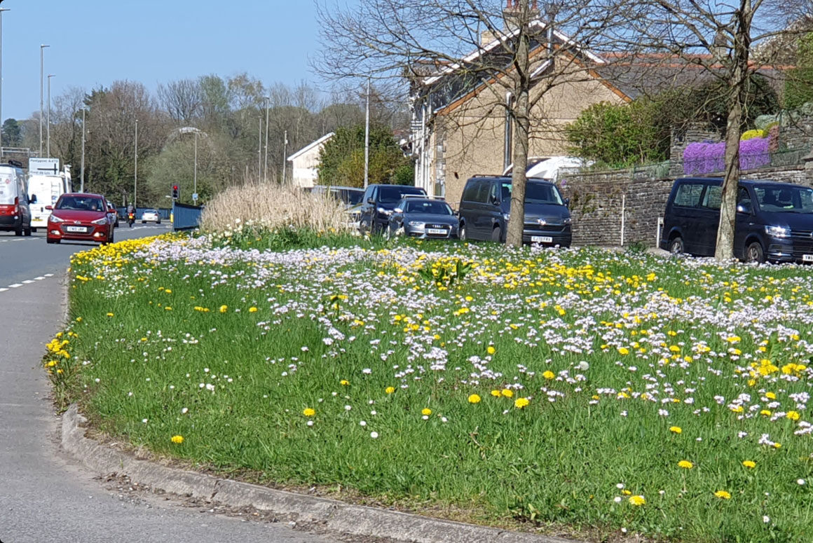 Wildlife Prospering as a Result of Council’s New Cutting Regime