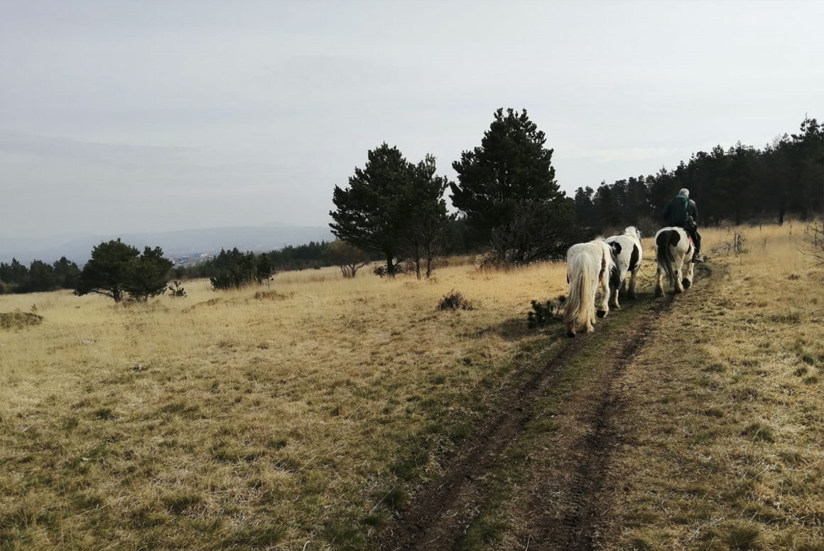 Open Spaces Society condemns skyline development at Swansea beauty-spot Open Spaces Society Condemns Skyline Development at Swansea Beauty-Spot