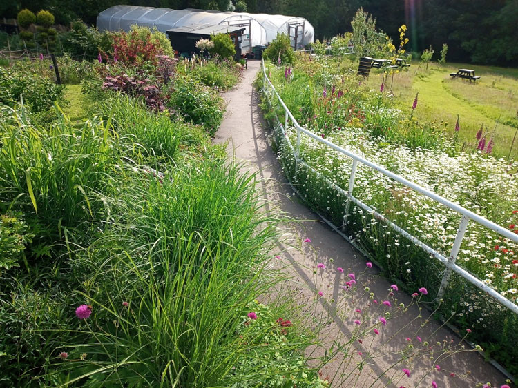 The Growing Space Garden