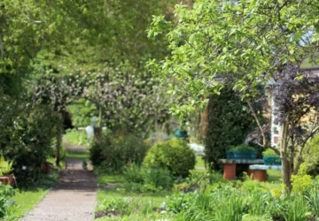 V21 Community Garden