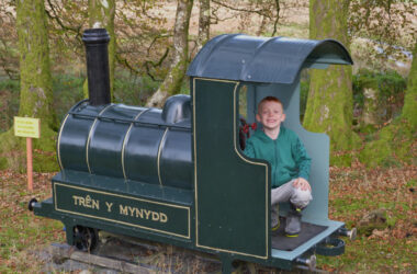 Bwlch y Geuffordd Gardens, Aberystwyth