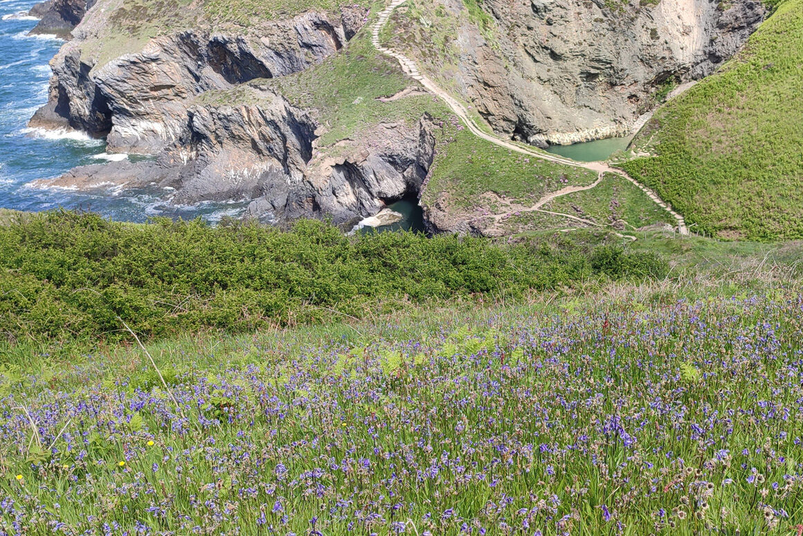 Funding and Support on Offer to Landowners Who Boost Biodiversity