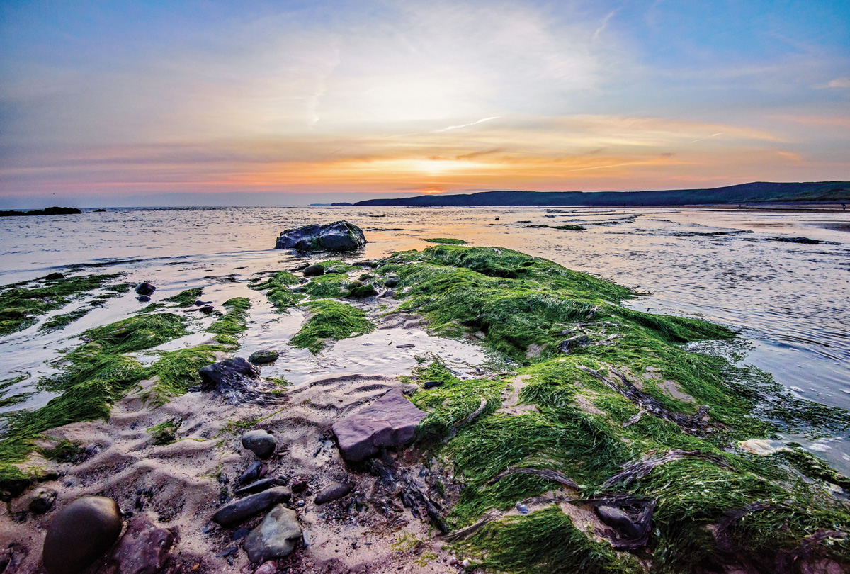 Freshwater West
