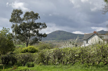 Gilfach, Conwy