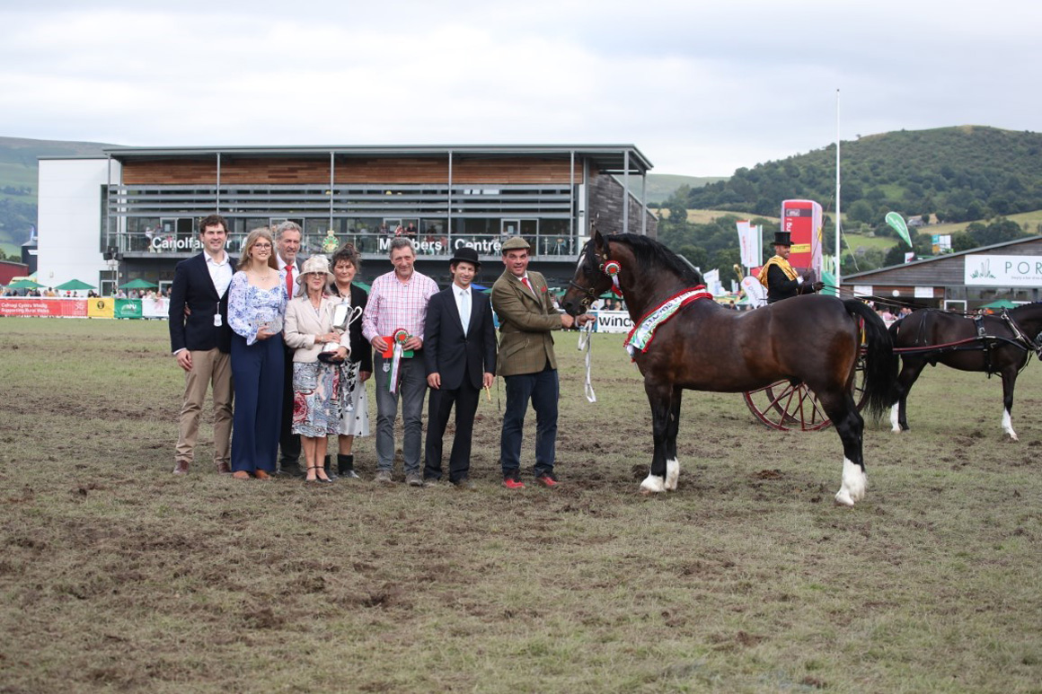 Best of Welsh on display at the 102nd Royal Welsh Show