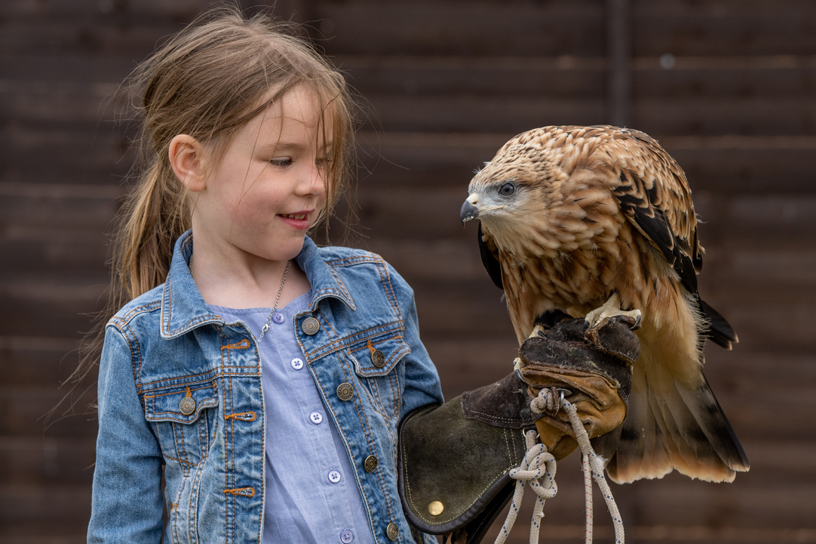 An A-Z guide to The GWCT Welsh Game Fair