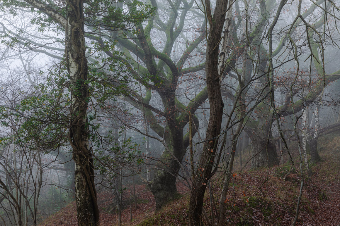 St. Mary’s Vale & Sugar Loaf - Abergavenny, Black Mountains - A Landscape Photography Paradise