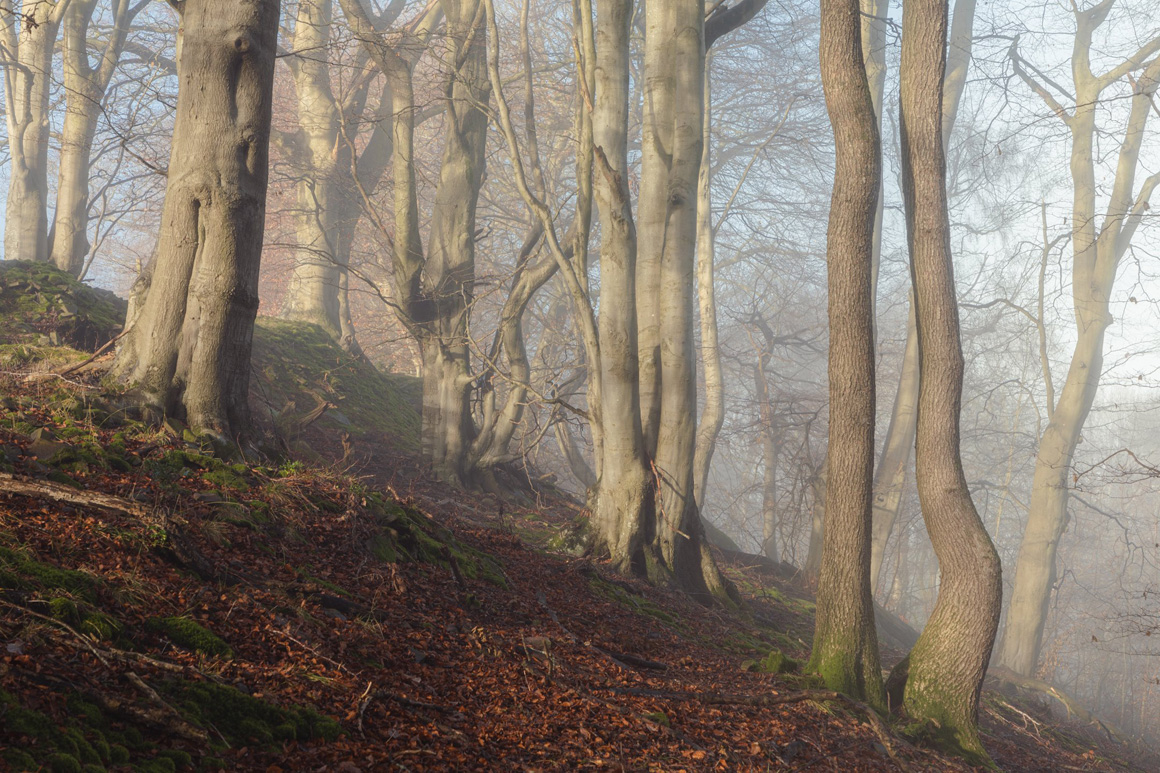 St. Mary’s Vale & Sugar Loaf - Abergavenny, Black Mountains - A Landscape Photography Paradise
