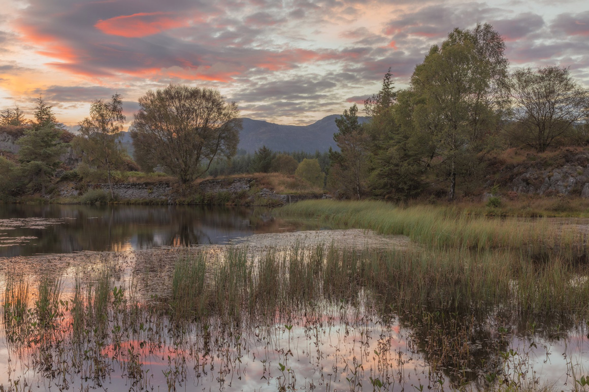 Cors Bodgynydd & Llyn Bodgynydd - Eryri / Snowdonia National Park