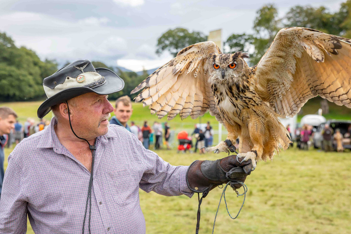 Countryside show will create £12m bonanza for North Wales