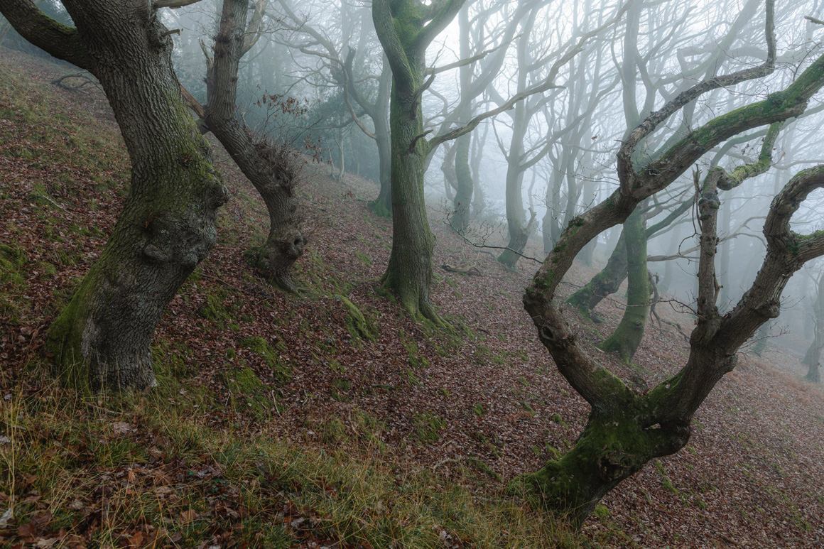 St. Mary’s Vale & Sugar Loaf - Abergavenny, Black Mountains - A Landscape Photography Paradise