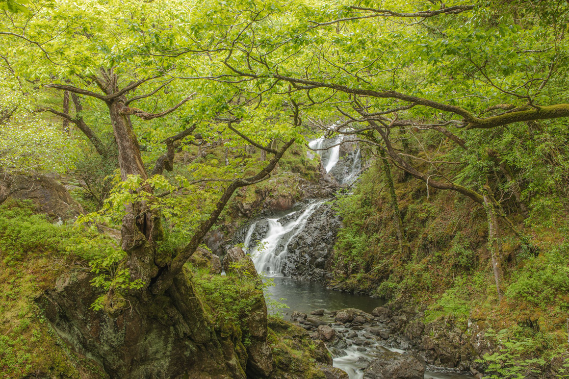Rhaeadr Ddu & Ganllwyd - Eryri/ Snowdonia National Park - A Landscape Photography Paradise