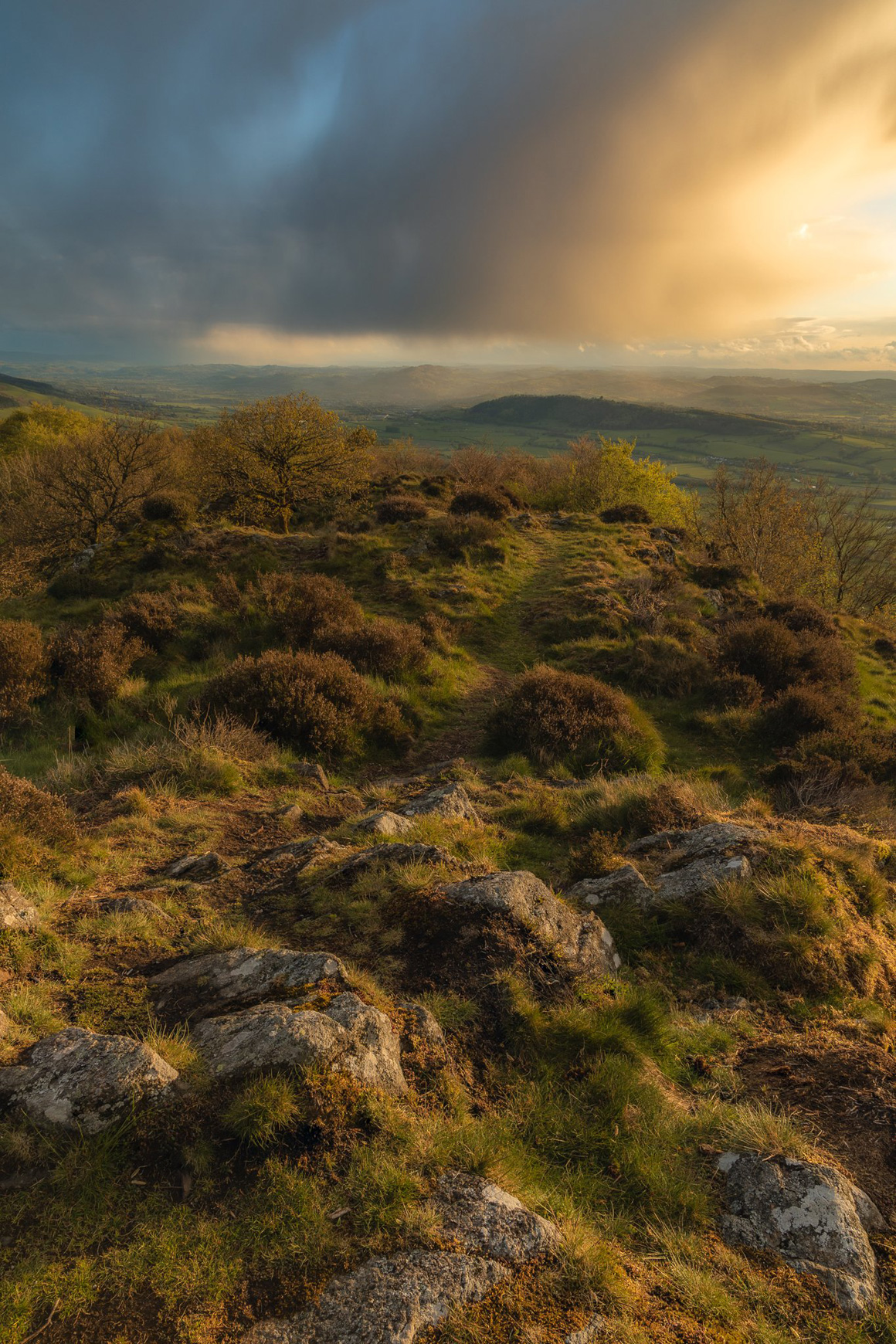 Moel Y Golfa - Mid Wales