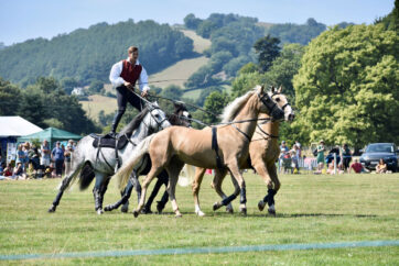 Entries up as Atkinson Action Horses Headlines at Llanfyllin Show