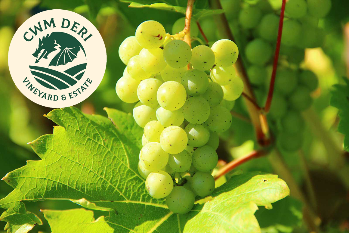 Cwm Deri Vineyard goes on the road