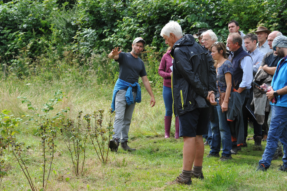 Welsh Fruit Tree Grower Uses Power of Nature to Control Pests