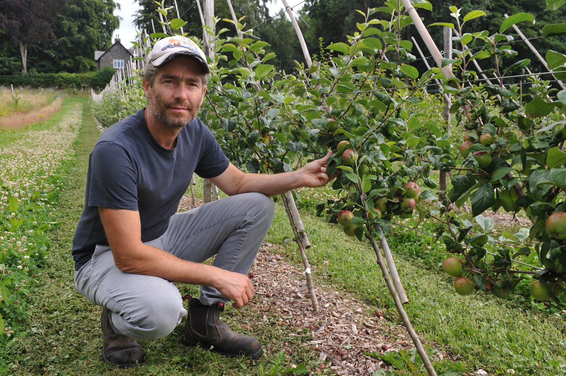 Welsh Fruit Tree Grower Uses Power of Nature to Control Pests