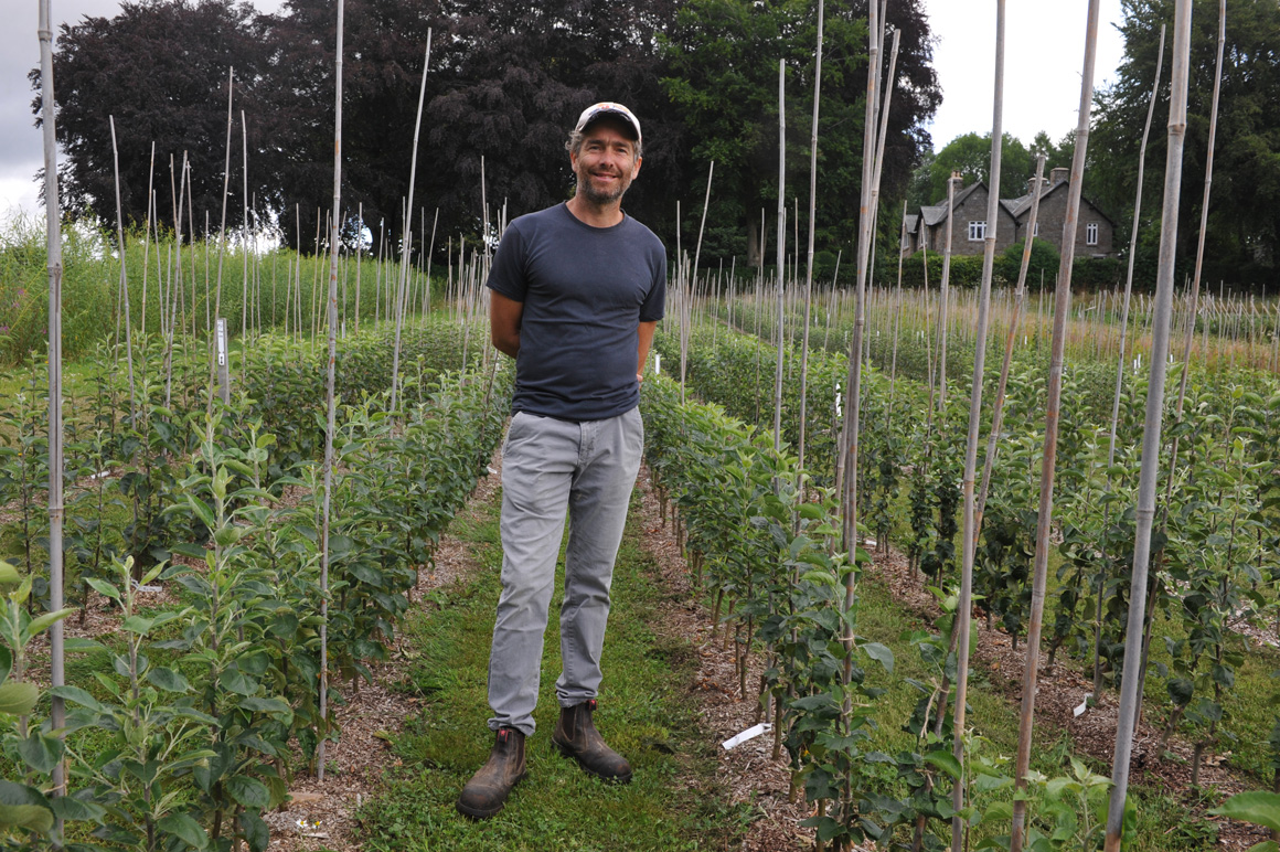 Welsh Fruit Tree Grower Uses Power of Nature to Control Pests