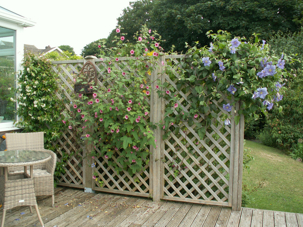 2023 The Early Autumn Garden