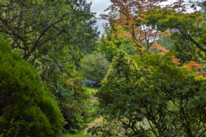 9 Willowbrook Gardens