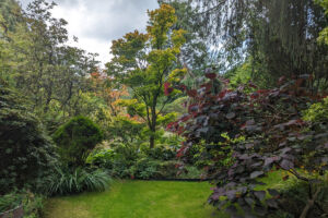 9 Willowbrook Gardens