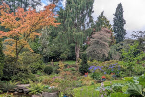 9 Willowbrook Gardens