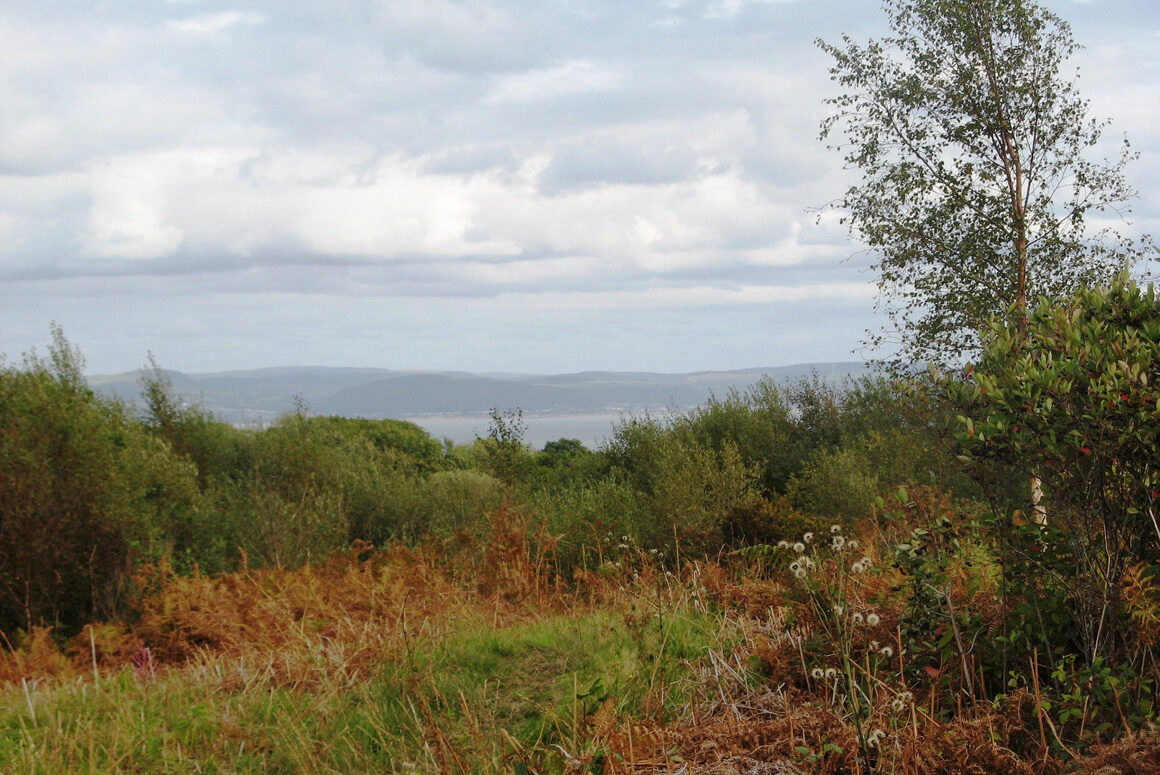 Praise for Gower Society from Britain’s Oldest National Conservation Body