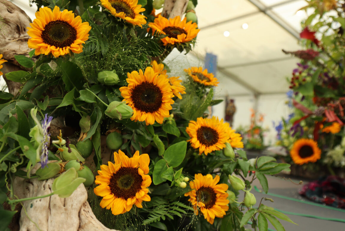 Royal Welsh Agricultural Society to Appoint New Director of Horticulture