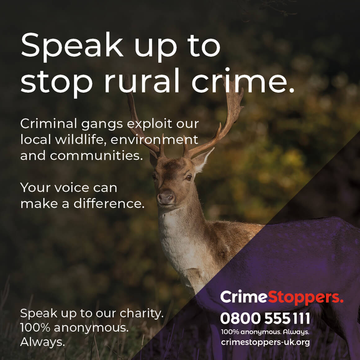 Crimestoppers Welsh Rural Crime Campaign