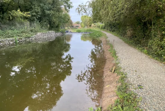 Montgomery Canal Work Party Report – October 23