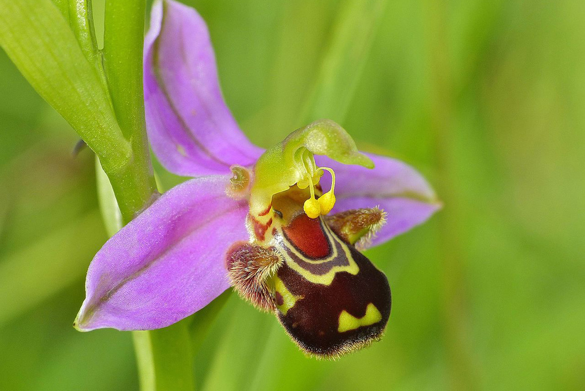 Plans for New Local Nature Reserve