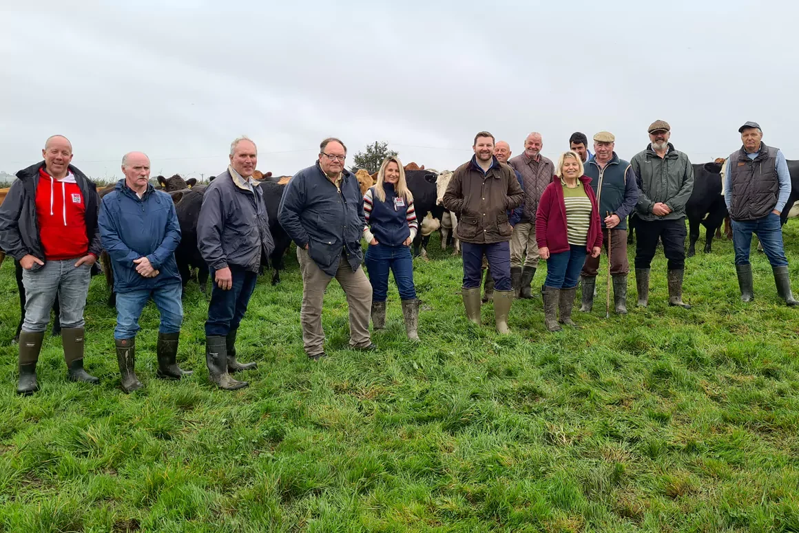 Pembrokeshire Farmers at a Crossroads Due to Environment Scheme Chaos