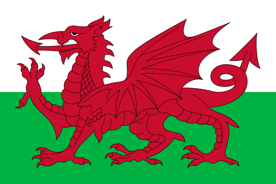 Welsh Flag