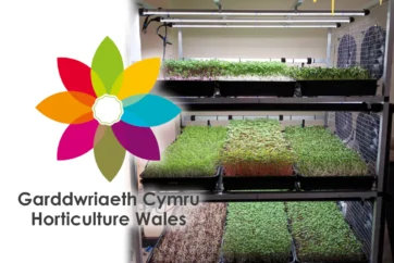 Horticulture Wales UKSPF Funding Granted