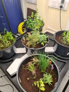 Horticulture Wales SPF Funding Granted